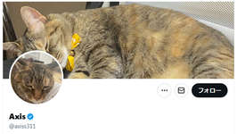 【APEX】REJECTにAxis選手が加入のサムネイル画像